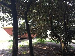 -坝光海滩