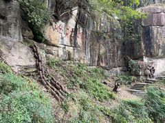 -铁山坪森林公园