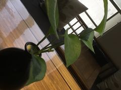 -稍可轩博物馆餐厅