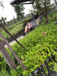 -季高兔窝窝亲子园(上海薰衣草公园店)