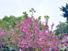 -乌山风景区