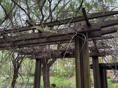 -白塘生态植物园