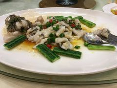 花椒蒸大笋壳-顺悦酒家(嘉信城市广场店)