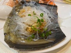 蒸带子-南庄酒家·海鲜粤菜·25年老字号(环城南路店)