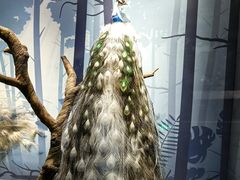 -陕西自然博物馆