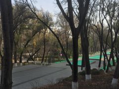 -西宁市人民公园(城西区)