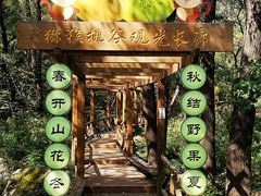-大岭沟猕猴桃谷风景区