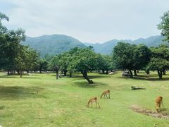 -西安秦岭野生动物园