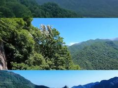 -黑河国家森林公园
