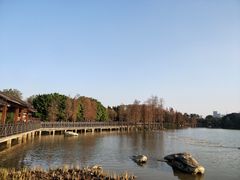 -海珠湖公园