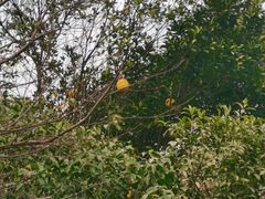 -常熟路(地铁站)