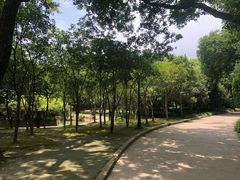 -上海市龙华烈士陵园