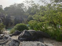 -吴淞炮台湾湿地森林公园烧烤区