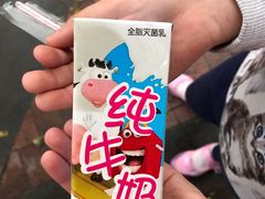 纯牛奶-麦当劳(欢乐谷店)