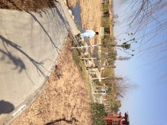 iphone_upload_pic-灵山莲花公园-温泉度假区