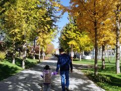 -意大利农场度假村