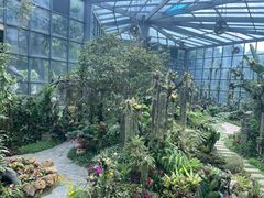 -东莞植物园