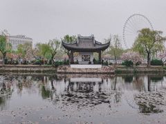 -无锡蠡湖国家湿地公园-蠡园