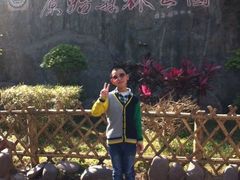 -西双版纳原始森林公园