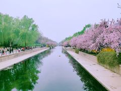 -元大都城垣遗址公园