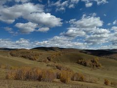 -塞罕坝国家级自然保护区