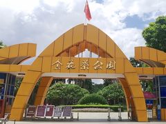 -金花茶公园