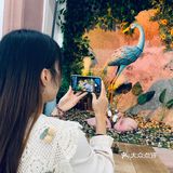 杨小姐的烘焙店