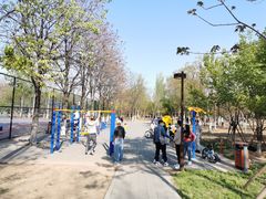 健身休息区-回龙观体育文化公园