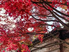 -惠山古镇·寄畅园