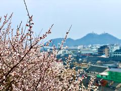 -台州府城(江南长城)
