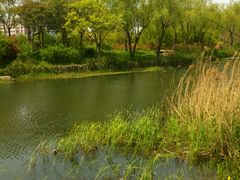 android_upload_pic-新江湾城公园