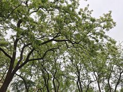 -元大都城垣遗址公园