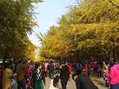 -辽宁大学(崇山校区)