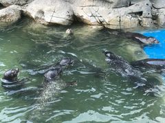 -华夏文旅海洋公园