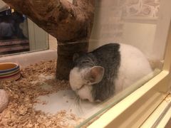 -龙猫仔乐园(惠福东路店)