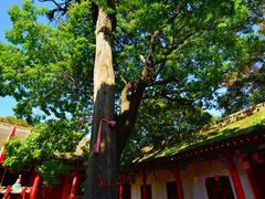 -少华山国家森林公园