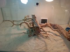 -喵园·猫主题咖啡厅·撸猫·猫咖(国贸店)