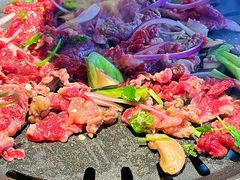 -杨小佳·齐齐哈尔烤肉·烤串(广州店)