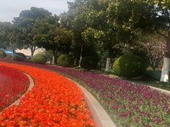 -上海鲜花港