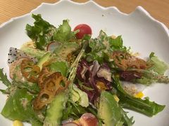 富山特制沙拉-富山日式料理(宽厚里店)