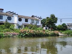 -陶辛水韵