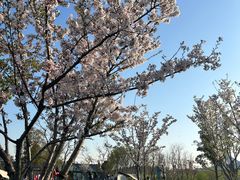 -幕燕滨江·长江观音景区