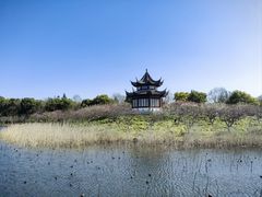 -上海海湾国家森林公园