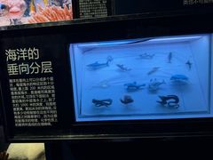 -同济大学四平路校区深海探索馆