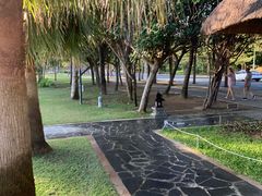 -三亚湾海居铂尔曼度假酒店