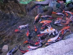 -蓬莱欧乐堡海洋极地世界