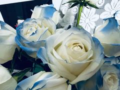 -新辣道鱼火锅(西直门店)