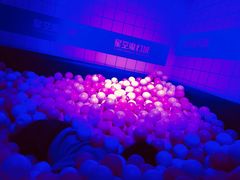 -杭州西湖星空魔幻城(星空艺术馆品牌旗舰店)