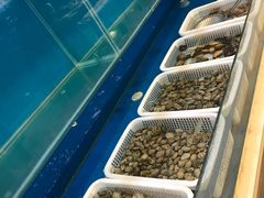 -楼外楼大刀肉传统火锅(西安大路店)