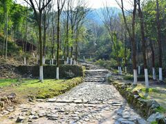 -仙霞关景区